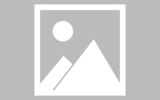 玉树网页设计展示ppt下载（网页设计ppt汇报）